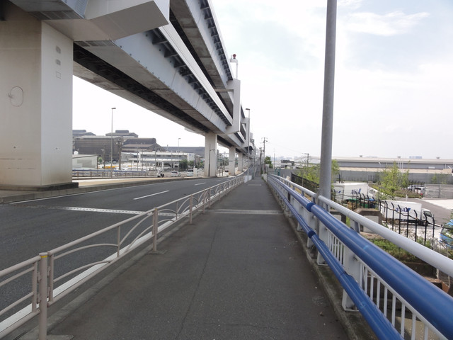 2011-07-03-38.jpg