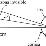 ojo