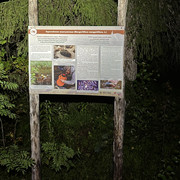IMG 5657