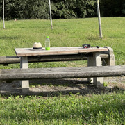 IMG-8719