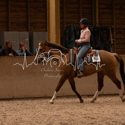 IMG-6461