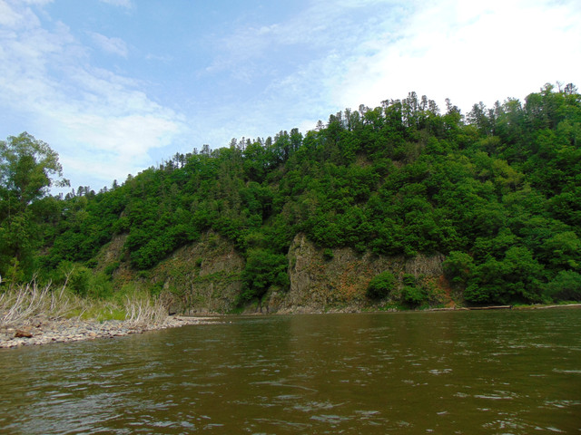 DSC05788.jpg