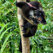 63