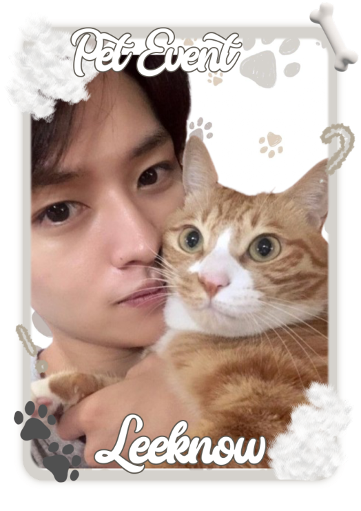 Haewon-Bot-Template8-20250408162550.webp