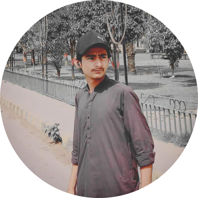 Tayyab