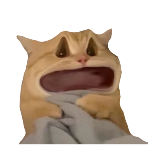 惊吓猫747官网
