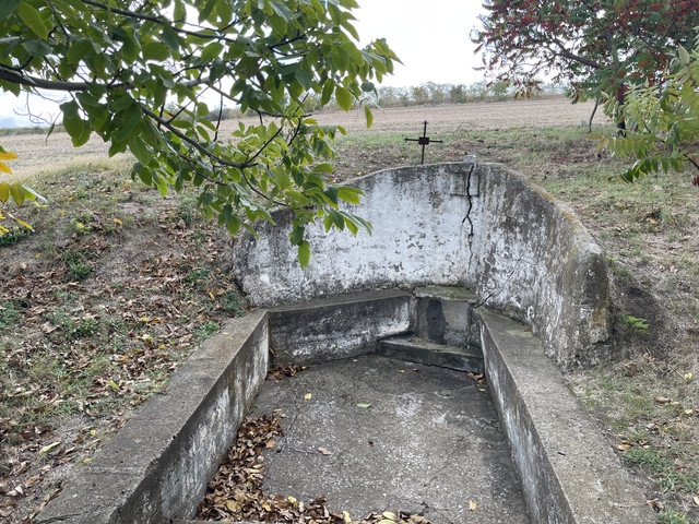 IMG 0382.jpg