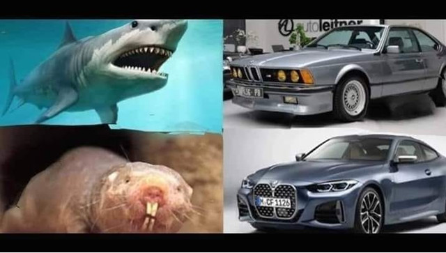 https://i.ibb.co/Df4bjRB/BMW.jpg