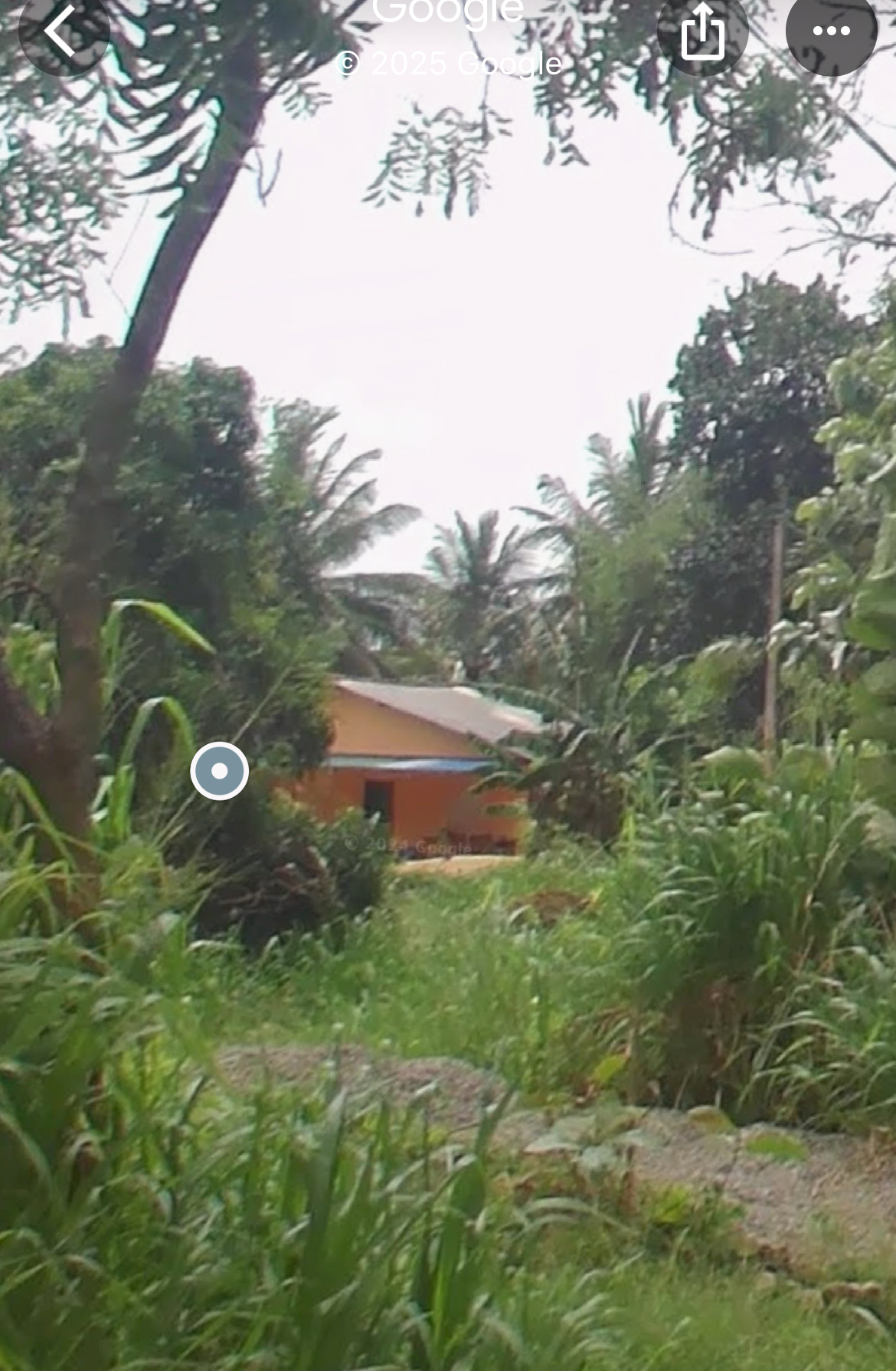 IMG-2465.jpg