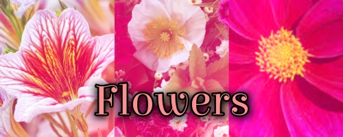 Flowers.jpg
