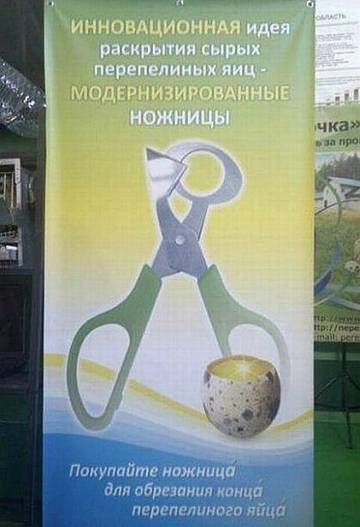 https://i.ibb.co/Df707GkP/JAgrv.jpg