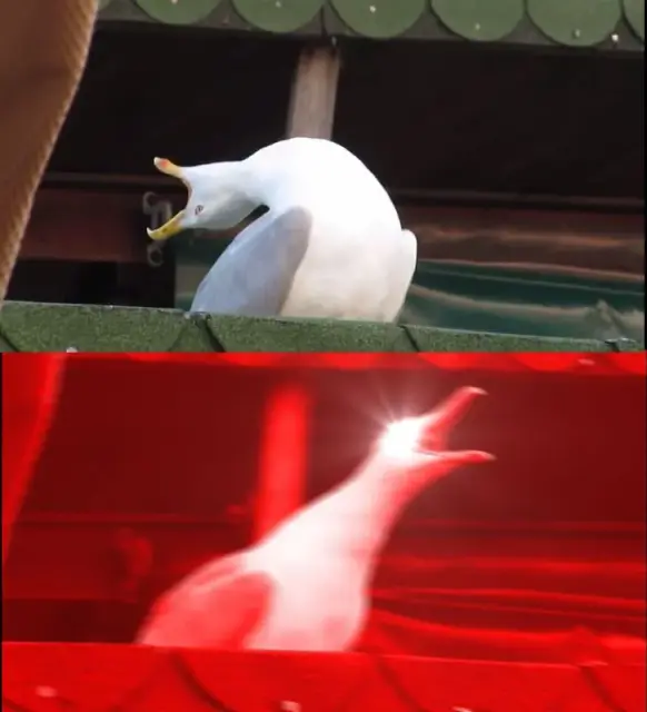 screaming-bird-meme-template-full-5b527083.webp