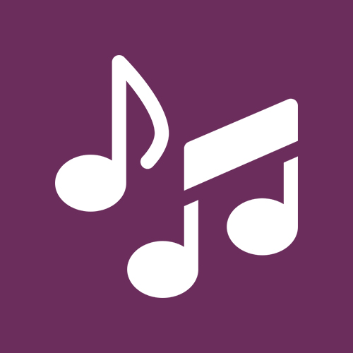 Icon 3