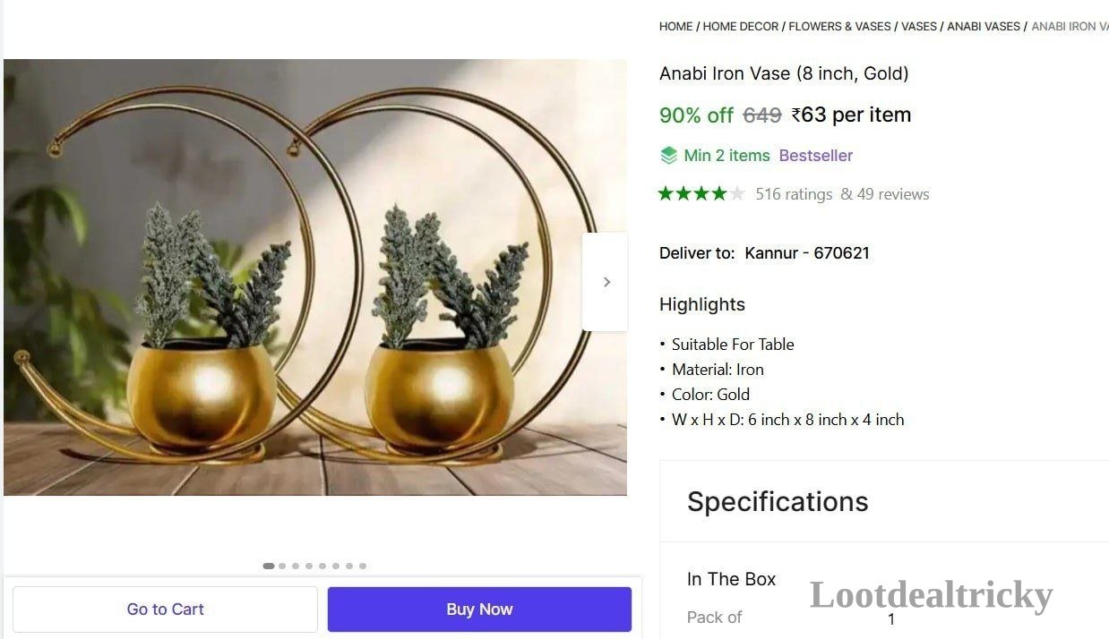 Anabi Iron Vase – Just ₹63 | Top Unbeatable Deal Anabi Iron Vase – Just ₹63 | Top Unbeatable Deal