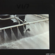 IMG-1143