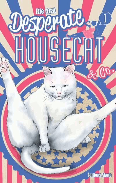 chat.gif