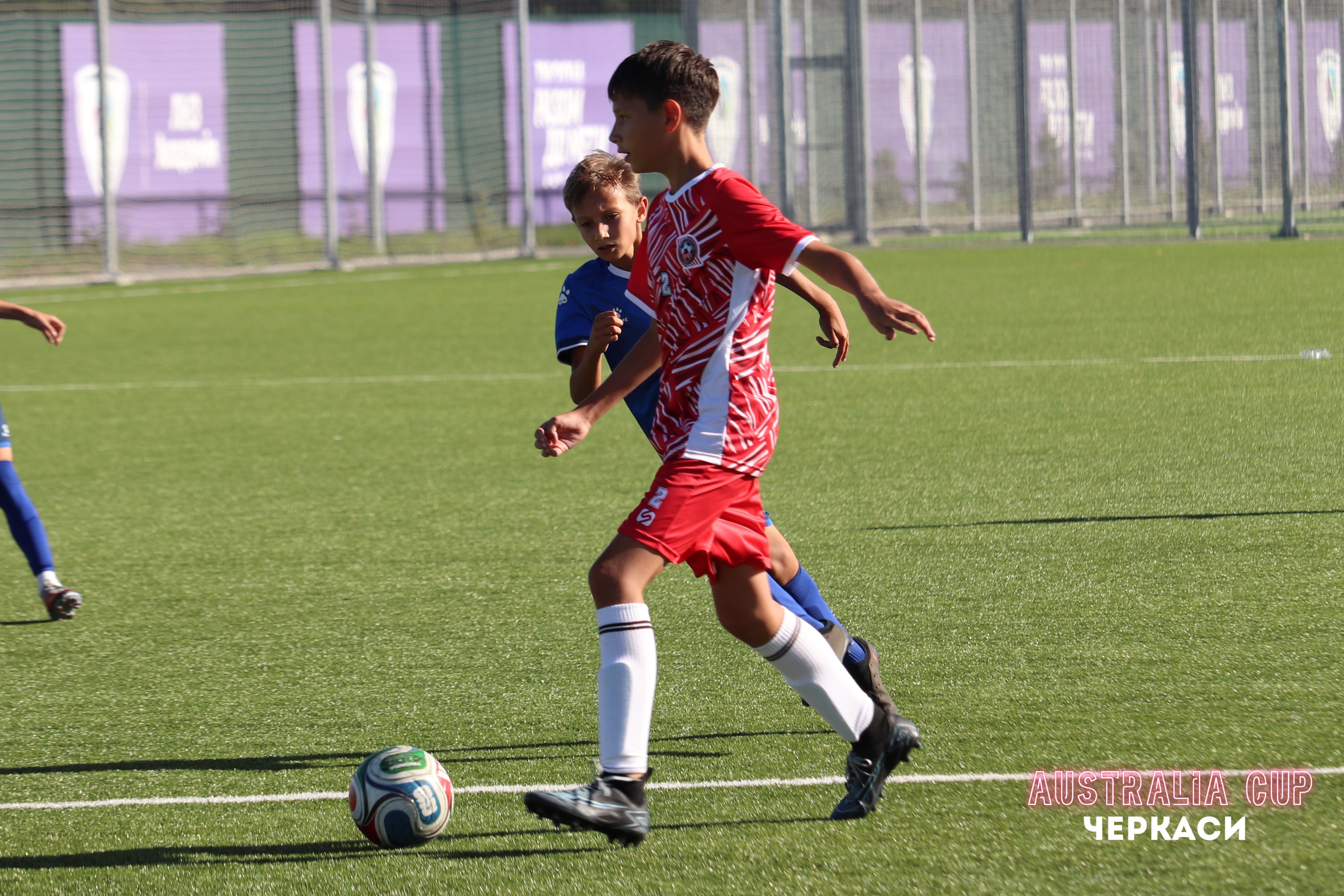 IMG 4951 (1)