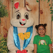 Bunny2026 72