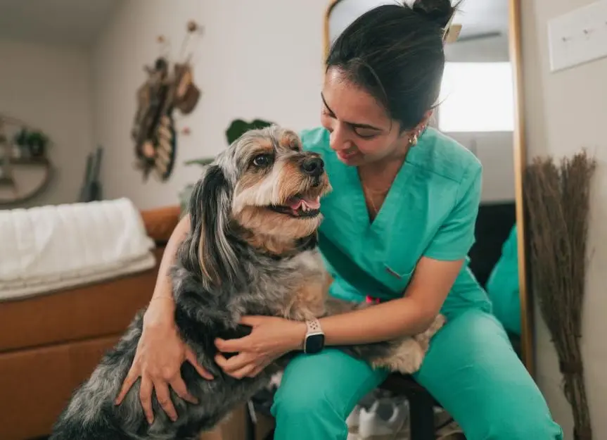 Lead Poisoning in Dogs: Recognizing the Danger Signs