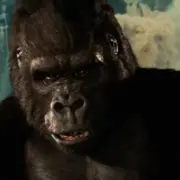 King Kong (1976)2