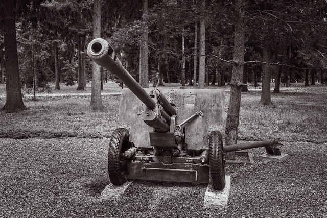 A7300099bw.jpg