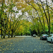 DSCN5016