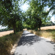 DSCF0184