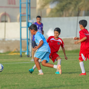 IMG 7656