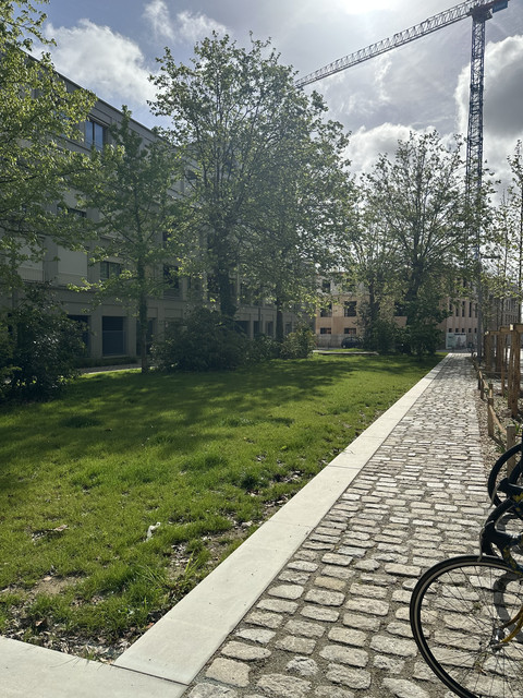 IMG 3439