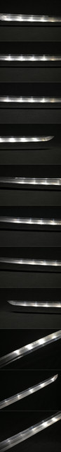 DSC0536.jpg