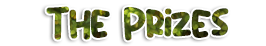 prize.png