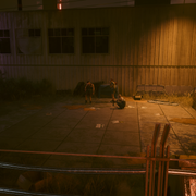 photomode 08062026 230611