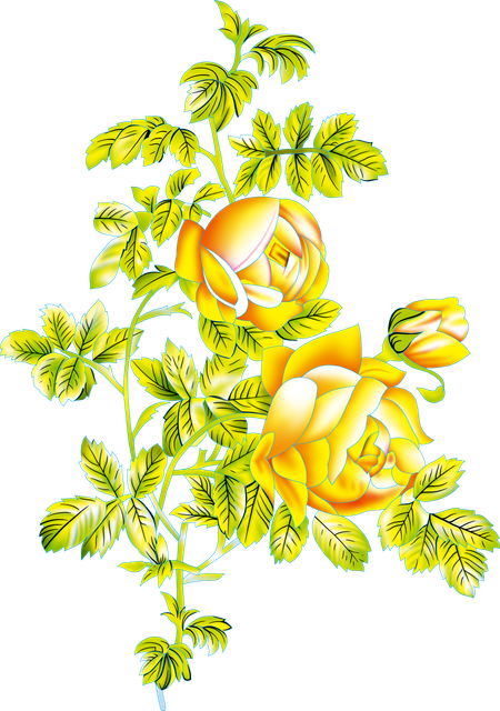 16ef963c1a5de84487b9a5f74892f54e.png