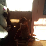 IMG-20220401-090311