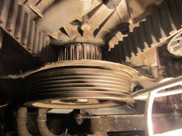 https://i.ibb.co/DfNmKN56/em-Bac.jpg
