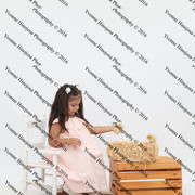 IMG 0932