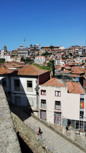 panorama (4).jpg