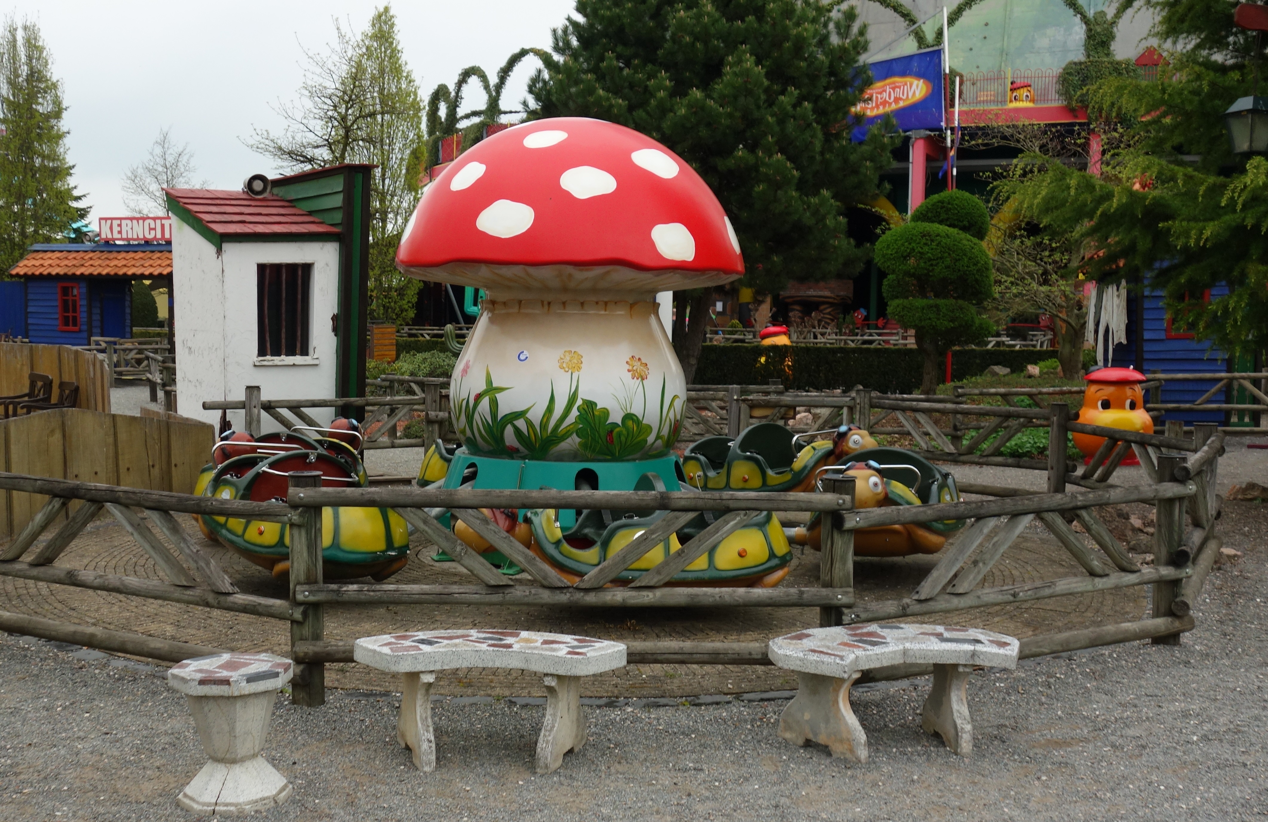 DSC00231