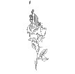 20200325-003