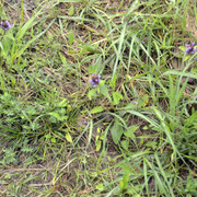 DSC8900