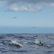 IMG-6702
