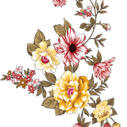 72eb2614c4821cfda47d32ed938c00f0