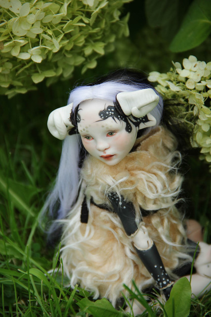 nd26 15.jpg