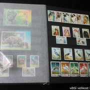 IMG-2269