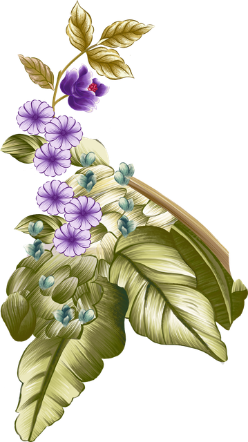 bf88284a5f433dee2ff3a06cffa5d427.png