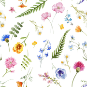 Summer Meadow R DATE 03 08 2019