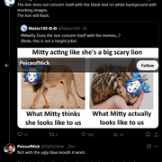 mitty6