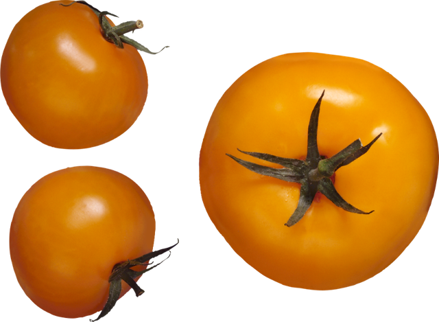 71-645412