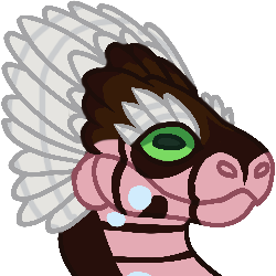 IMG 0854.png