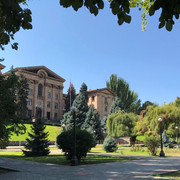 IMG-0807